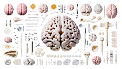 abstract design spine brain anatomy three-dimensional art blue body brainy cerebellum cerebra cortex graphic head health human man matter medicals mind model neurology organ radiology ray scientific