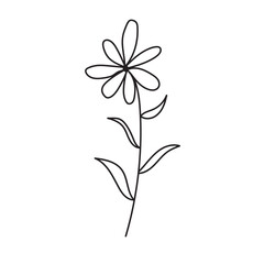 plant, vector, outline, flower, floral, sketch, botanical, illustration, line, herb, leaf, set, design, summer, nature, isolated, blossom, doodle, art, graphic, collection, garden, drawing, spring