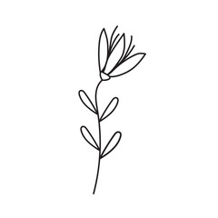 plant, vector, outline, flower, floral, sketch, botanical, illustration, line, herb, leaf, set, design, summer, nature, isolated, blossom, doodle, art, graphic, collection, garden, drawing, spring