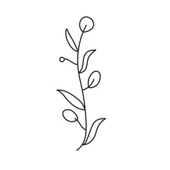 plant, vector, outline, flower, floral, sketch, botanical, illustration, line, herb, leaf, set, design, summer, nature, isolated, blossom, doodle, art, graphic, collection, garden, drawing, spring