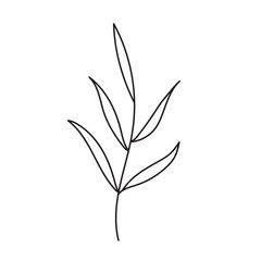 plant, vector, outline, flower, floral, sketch, botanical, illustration, line, herb, leaf, set, design, summer, nature, isolated, blossom, doodle, art, graphic, collection, garden, drawing, spring