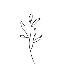 plant, vector, outline, flower, floral, sketch, botanical, illustration, line, herb, leaf, set, design, summer, nature, isolated, blossom, doodle, art, graphic, collection, garden, drawing, spring