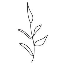 plant, vector, outline, flower, floral, sketch, botanical, illustration, line, herb, leaf, set, design, summer, nature, isolated, blossom, doodle, art, graphic, collection, garden, drawing, spring