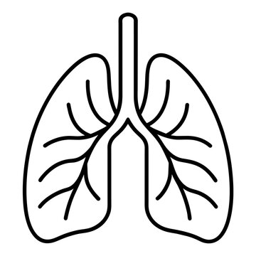 recommend clip art: Lungs organ anatomy editable stroke outline icon isolated on white background flat vector illustration.