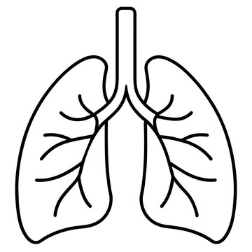 recommend clip art: Lungs organ anatomy editable stroke outline icon isolated on white background flat vector illustration.