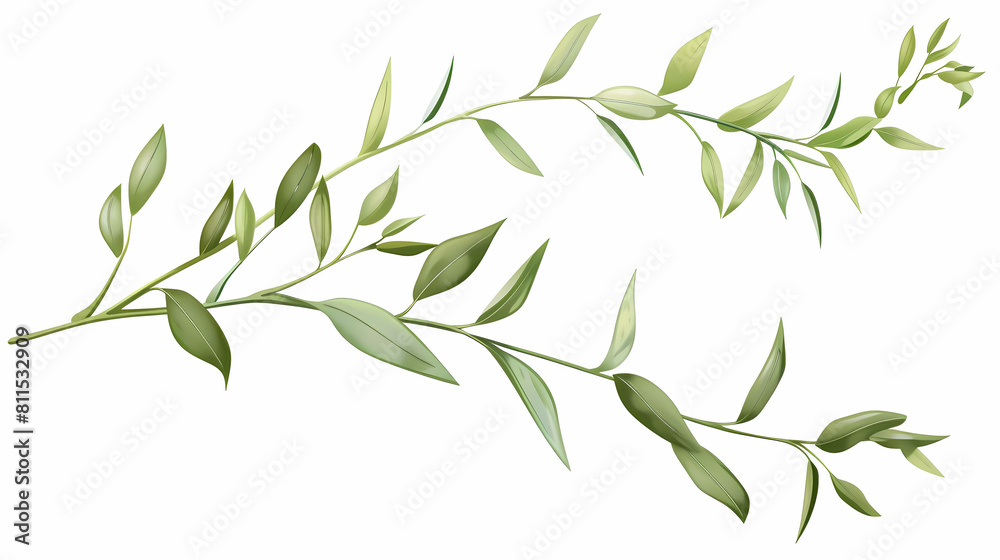 Wall mural vector plant stem and leaves on a isolated background - Wall murals