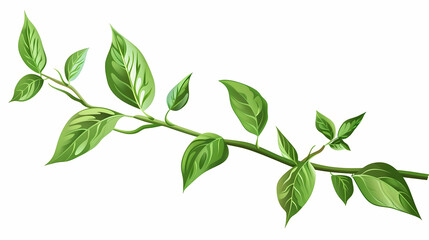 vector  plant stem with green leaves on a isolated background