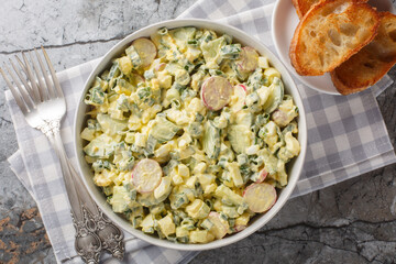 Salad with boiled eggs, radishes, green onions and cucumber served with toasted bread close-up in a bowl on the table. Horizontal top view from above