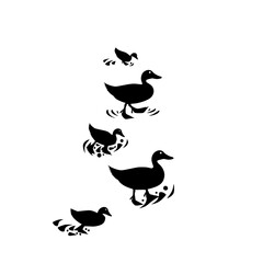 flying, bird, sky, birds, fly, silhouette, flock, flight, nature, blue, group, animal, vector, black, white, illustration, wing, formation, wildlife, pigeon, migration, geese, wings, freedom, wild, ic
