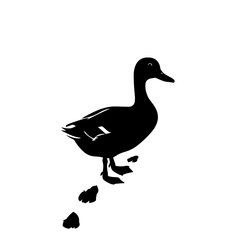 flying, bird, sky, birds, fly, silhouette, flock, flight, nature, blue, group, animal, vector, black, white, illustration, wing, formation, wildlife, pigeon, migration, geese, wings, freedom, wild, ic