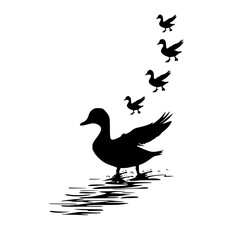 flying, bird, sky, birds, fly, silhouette, flock, flight, nature, blue, group, animal, vector, black, white, illustration, wing, formation, wildlife, pigeon, migration, geese, wings, freedom, wild, ic