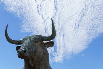 Naklejka premium close-up of the head of a fighting bull with a blue sky and clouds in the background