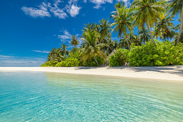 Paradise island beach. Tropical landscape of summer scene, sea waves. Sunny sand sky palm trees. Luxury travel vacation destination. Exotic tourism landscape. Amazing nature freedom coast Maldives
