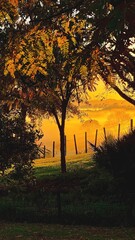 Obraz premium sunrise on a cold, autumn morning in Hamilton, New Zealand. 