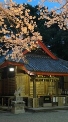 夜の神社