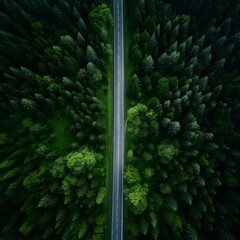 Obraz premium Top view mountain road in green forest. Generative AI.