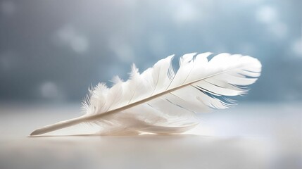 Obraz premium Close up white feather on blue dreamy background. 