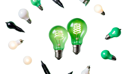 bulb responsible social paper business green light corporate company conservation earth environmental idea management resource responsibility strategy sustainability sustainable word ecology concept