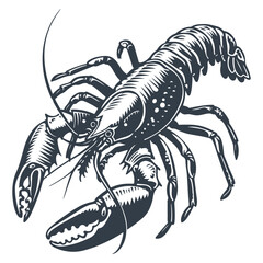 Crayfish vintage woodcut drawing vector