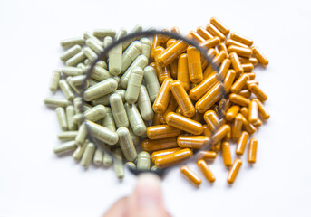 Dry herb Andrographis paniculata powder in capsule