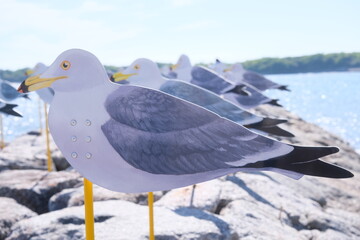 カモメの駐車場