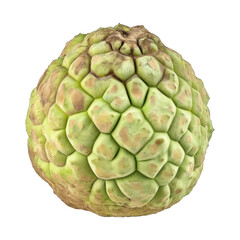 Obraz premium fresh custard apple fruit on transparent background