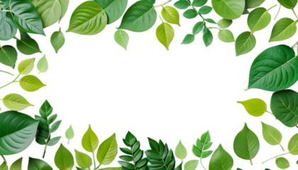 concept text leaves green friendly ecology place background eco althy environment leaf environmentally healthy sustainability nature conservation renewable energy organic recycling biodiversity