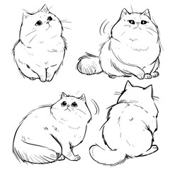 cat vector, line art cat, cat outline, cat svg, cat png, cat illustration, Persian cat, Siamese, Maine Coon, Persian, Ragdoll, Bengal, Scottish Fold, Sphynx, Abyssinian, Russian Blue, Norwegian Forest