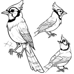 Bird svg, Bird svg bundle, Bird silhouette, Bird cut files, Bird clipart, Birds Clipart, Bird svg files foor cricut, Birds svg, Bird png, Hummingbird SVG, Bird Svg, Flying Bird Svg, Hummingbird Cricut