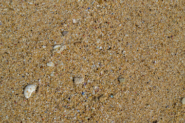 small rock on clean sand of beach. Close up, beach sand texture. Beach sand texture in summer sun