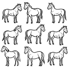 Baby Horse SVG, Horse SVG, Horse Clipart, Doodle Animal SVG, Doodle Horse SVG, Cute Horse SVG, Horse PNG, Horse Vector, Jungle Animal SVG, Cute Baby Horse SVG, Horse Outline SVG, Kids Coloring SVG, Nu