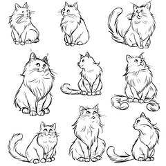 cat vector, line art cat, cat outline, cat svg, cat png, cat illustration, Persian cat, Siamese, Maine Coon, Persian, Ragdoll, Bengal, Scottish Fold, Sphynx, Abyssinian, Russian Blue, Norwegian Forest