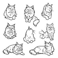cat vector, line art cat, cat outline, cat svg, cat png, cat illustration, Persian cat, Siamese, Maine Coon, Persian, Ragdoll, Bengal, Scottish Fold, Sphynx, Abyssinian, Russian Blue, Norwegian Forest