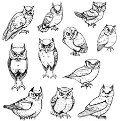 Owl Mandala, Bird Mandala, Owl, Owl Clipart, Owl SVG, Mandala PNG, Mandala SVG, Cricut Mandala, Mandala Clipart, Mandala Owl, Bird	,Bird svg, Line Art Prints, design, vector, illustration, pattern, ic