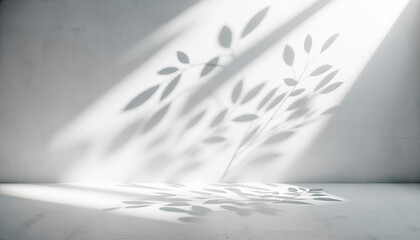 Shadows of leaves on a stark white wall and floor, conveying a modern and clean design concept. Generative AI