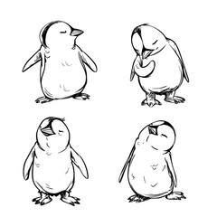 Baby Penguin SVG, Penguin Svg, Penguin Clipart, Doodle Animal Svg, Doodle Penguin Svg, Cute Penguin Svg, Penguin Png, Penguin Vector, Jungle Animal Svg, Cute Baby Penguin Svg, Penguin Outline Svg, Kid