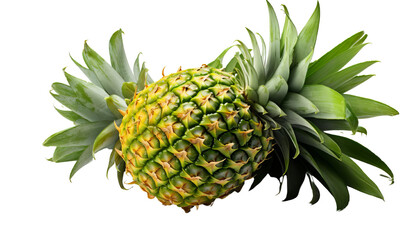 Fototapeta premium A golden pineapple isolated on a black background.