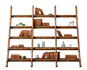 A wooden bookshelf filled with various books, plants, and other knick-knacks.