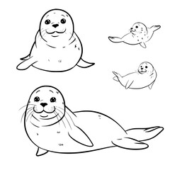 Baby Seal SVG, Seal Svg, Seal Clipart, Doodle Animal Svg, Doodle Seal Svg, Cute Seal Svg, Seal Png, Seal Vector, Jungle Animal Svg, Cute Baby Seal Svg, Seal Outline Svg, Kids Coloring Svg, Nursery Svg