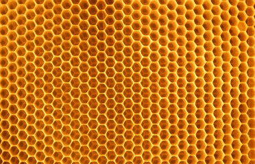 Macro image showcasing the intricate pattern and texture of a natural honeycomb
