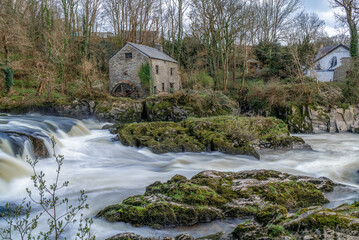 Cenarth waterfall and the river Teifi in the forest