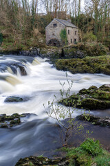 Cenarth waterfalls and river Teifi in Cenarth, Newcastle Emlyn, Wales