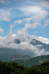 Green mountains and mist after rain.