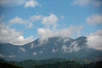 Obraz premium Green mountains and mist after rain.