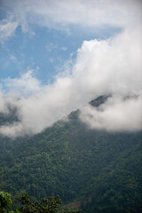 Fototapeta premium Green mountains and mist after rain.