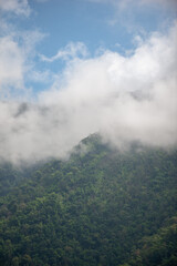 Green mountains and mist after rain.