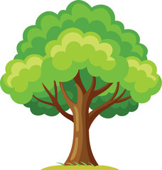 Elm Tree Botanical vector art, elm tree illustration