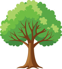 Elm Tree Botanical vector art, elm tree illustration