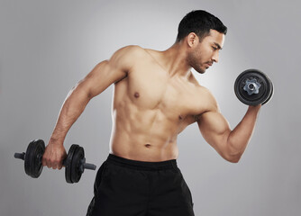 Asian man, dumbbell and weightlifting or strong training on studio grey background, biceps or...
