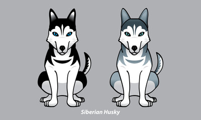 Vector of a cute Husky. With 2 color options. Vector.